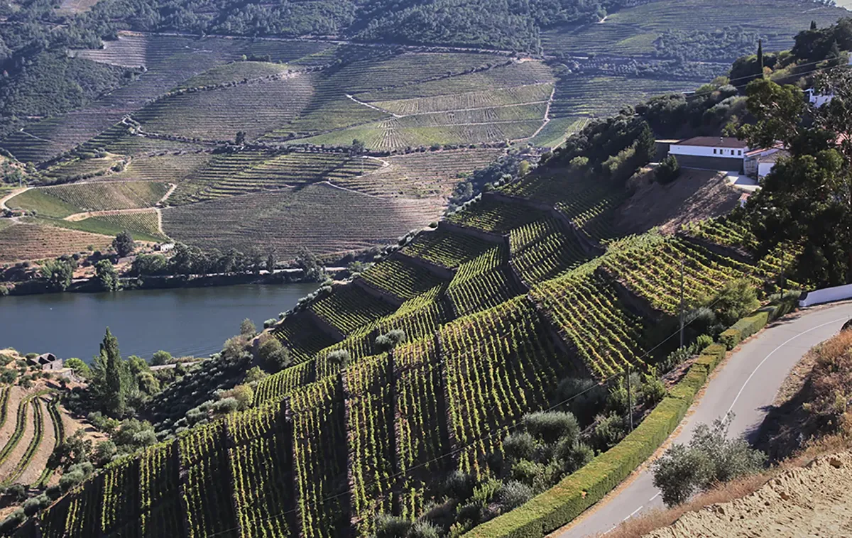 Quinta do Crasto